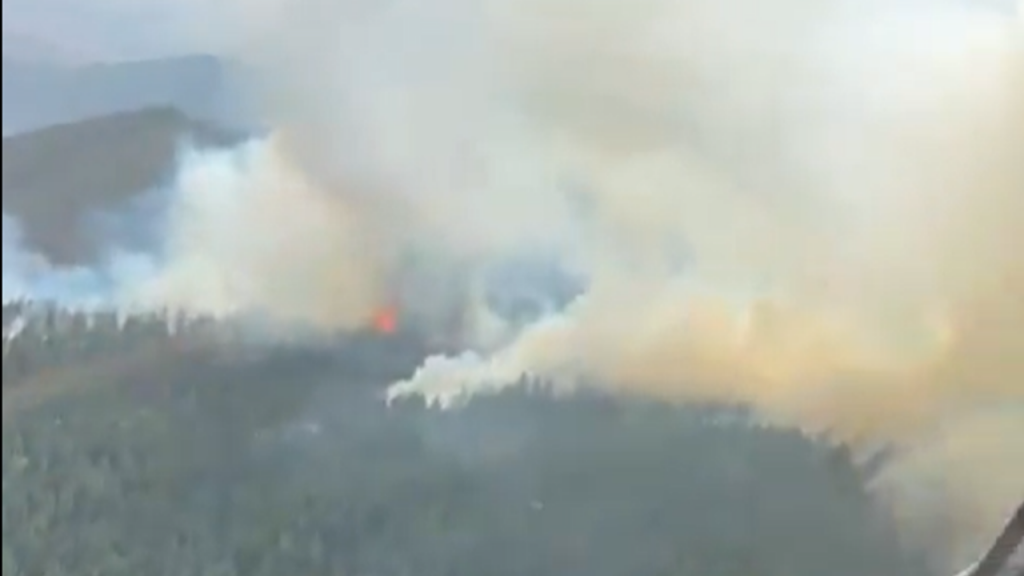 Çankırı’nın Yapraklı ilçesinde orman yangını: Müdahale sürüyor