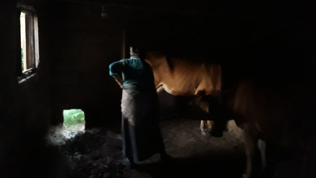 Karadeniz kadınının bitmeyen çilesi