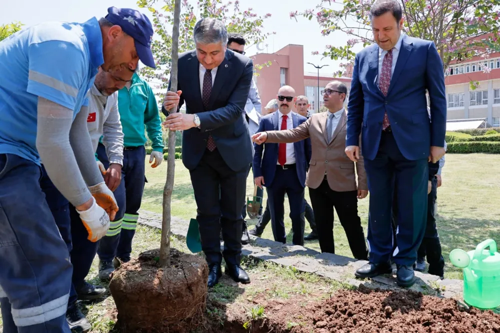 Adana valiliğinin bahçesinde 36 turunç ağacı toprakla buluştu – HDH Medya