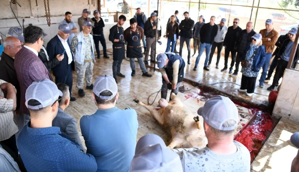 Sarıçam’da kurban kesim elemanı kursu tamamlandı – HDH Medya